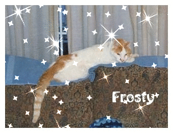 Frosty.gif (200639 bytes)