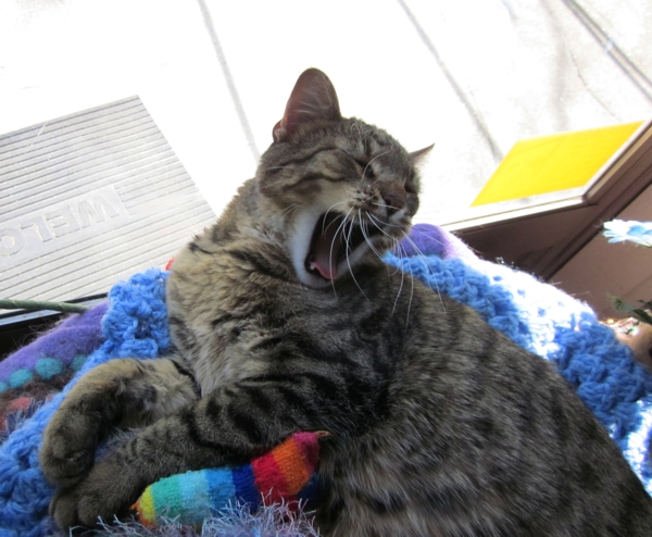 big yawn